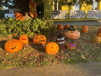 20 let dýní ve Starém Poddvorově