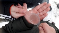 Děti ze školní družiny zkoumaly různé podoby vody