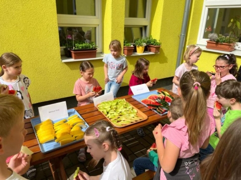 Ochutnávka sýrů a melounů