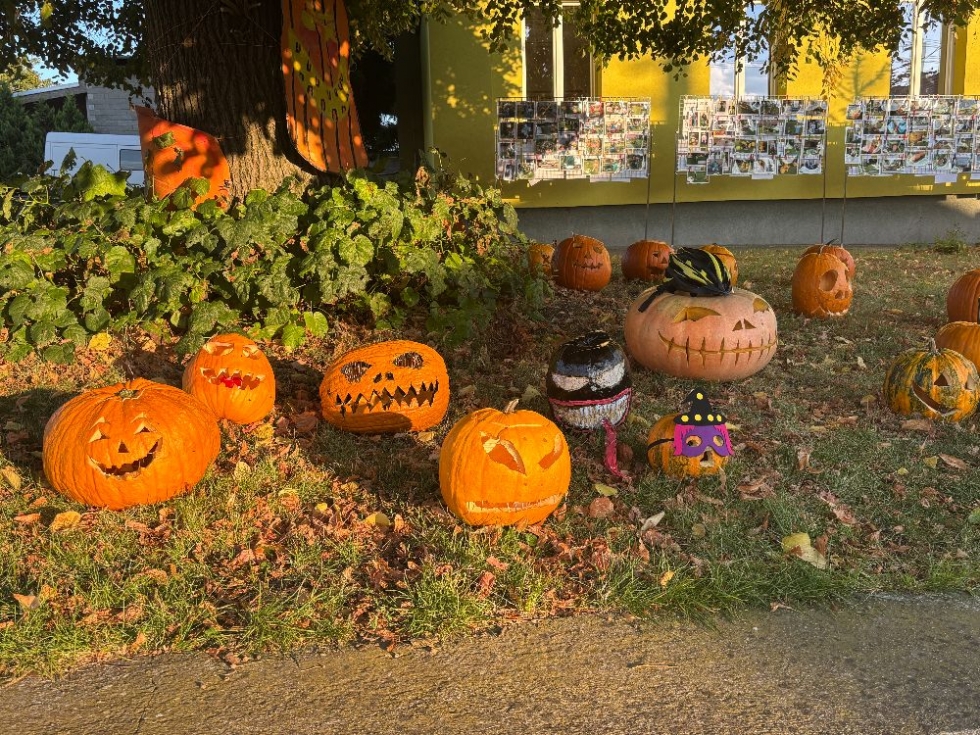 20 let dýňových víkendů ve Starém Poddvorově
